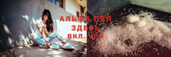 гашик Нефтекумск