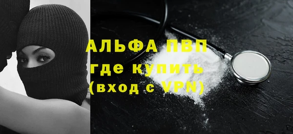 гашик Нефтекумск