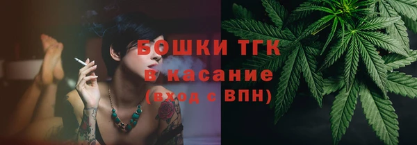 гашик Нефтекумск