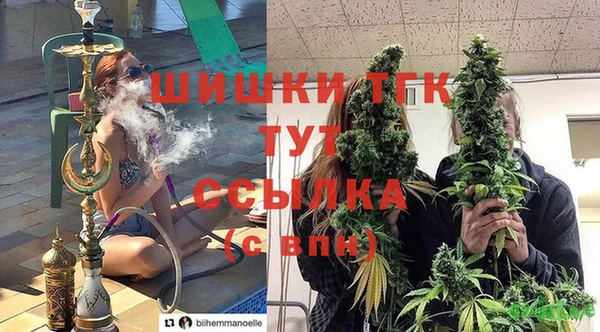 ALPHA-PVP Новозыбков