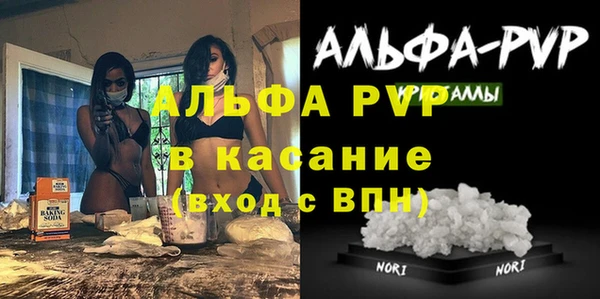 гашик Нефтекумск