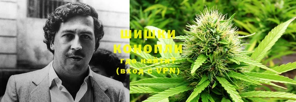 гашик Нефтекумск