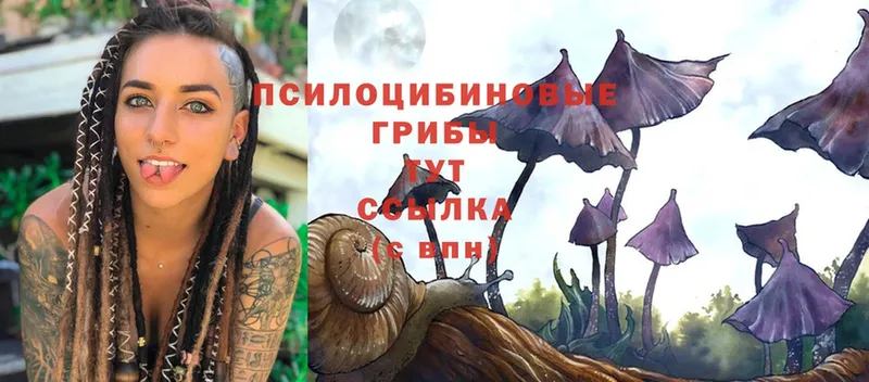 кракен ссылки  купить наркоту  Приволжск  Галлюциногенные грибы MAGIC MUSHROOMS 